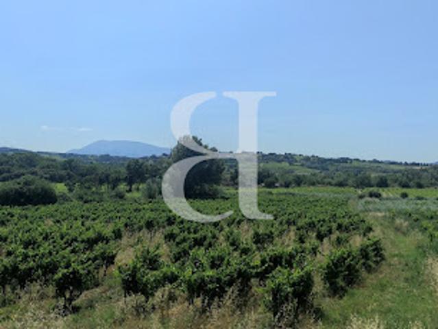 Ferme vente à Carpentras, Visan