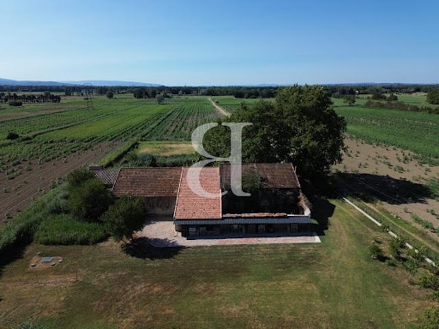 Ferme vente à Monteux, Vaucluse