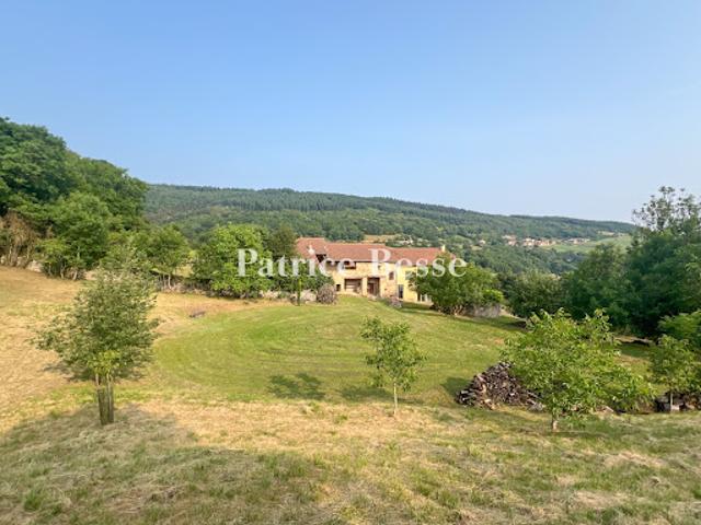 Maison vente à Mâcon, Solutré-pouilly