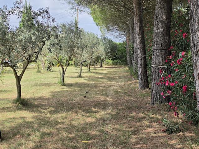 Ferme vente à Nîmes, Vauvert