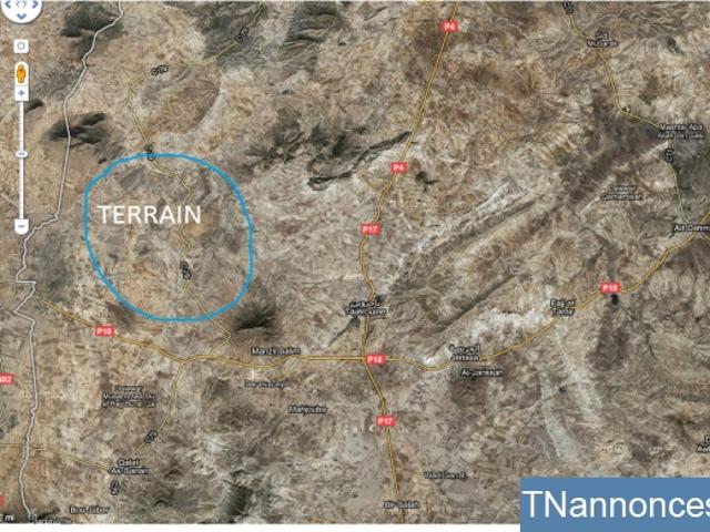 Terrain vente