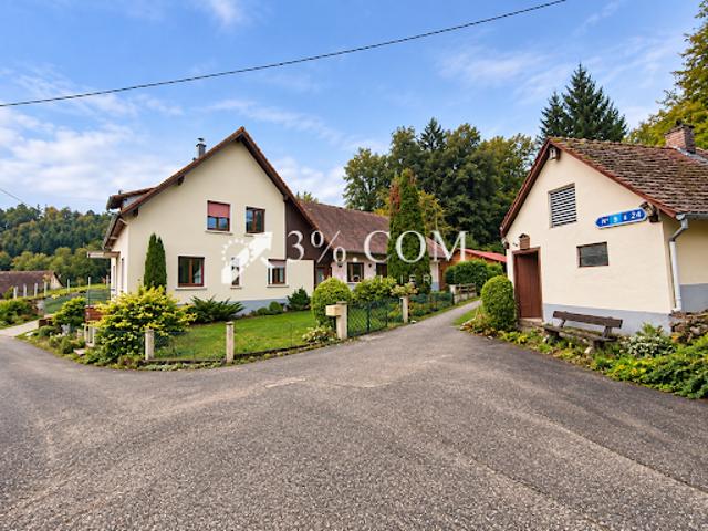 Maison vente à Untermuehlthal, Baerenthal