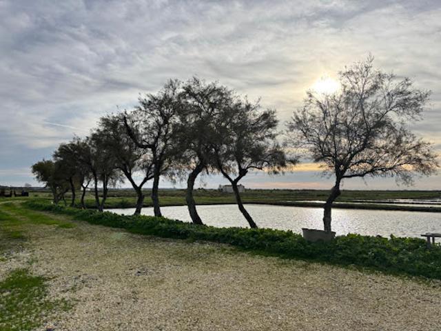 Maison vente à France métropolitaine, Nieulle-sur-seudre