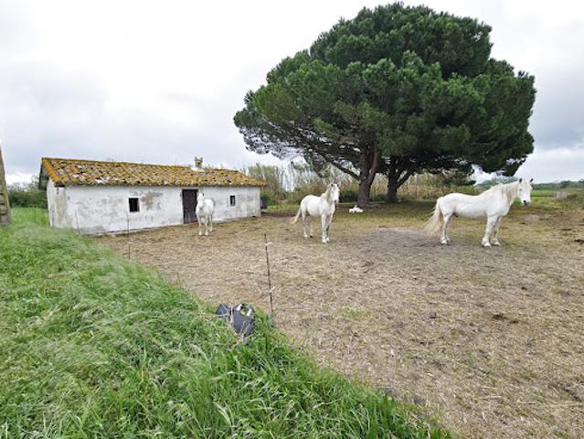 Maison vente à Nîmes, Vauvert