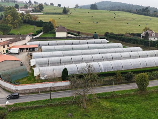 Maison vente à Montbrison, Chamboeuf