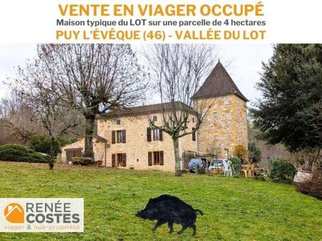 Maison vente à Cahors, Puy-l'evêque