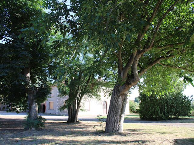 Maison vente à Castelsarrasin, Saint-nicolas-de-la-grave