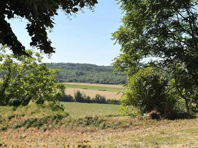 Maison vente à Mirande, Marciac