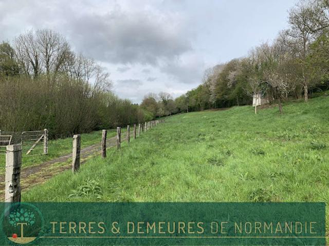 Maison vente à Lisieux, Saint-martin-de-bienfaite-la-cressonnière