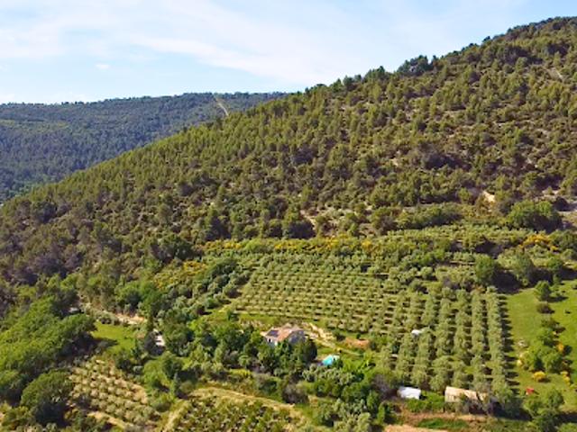 Maison vente à Forcalquier, Manosque
