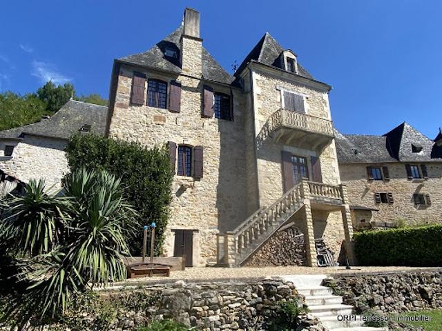Château vente à La Roche Alibert, Terrasson-Lavilledieu