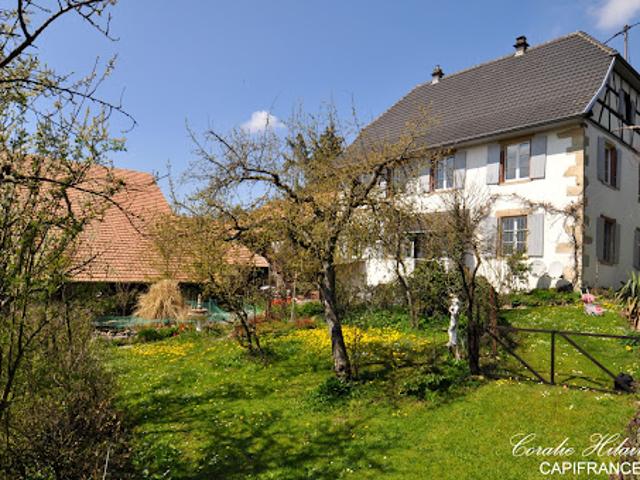 Maison vente à Moyen-Muespach, Muespach