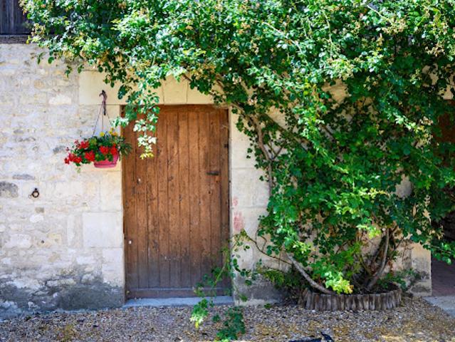 Maison vente à Chinon, Luzé