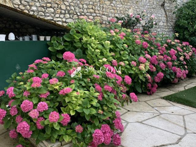 Maison vente à Poitiers, Chauvigny