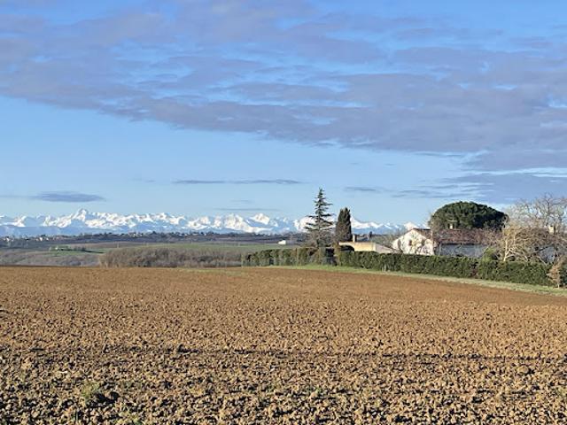 Maison vente à Toulouse, Vieillevigne