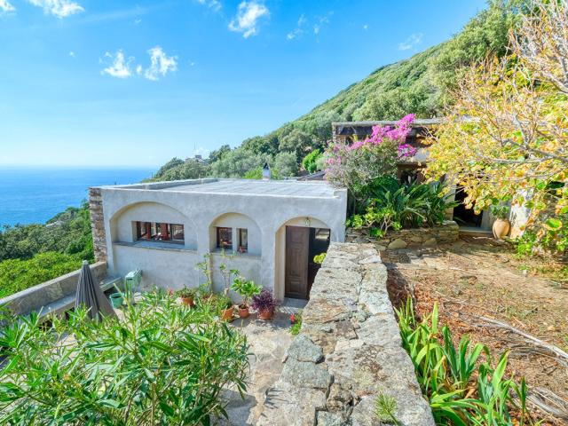 Maison vente à Bastia, Centuri