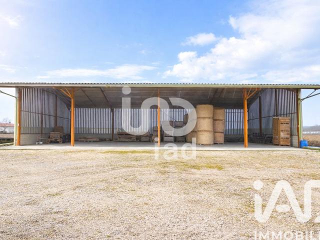 Appartement vente à Céret