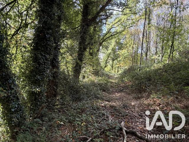 Terrain vente à Le Belvédère, Plounévez-Quintin