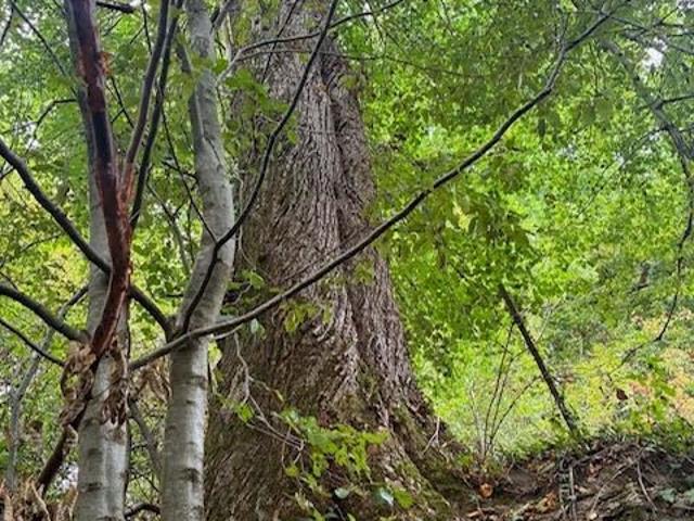 Terrain vente à Vouziers, La Croix-aux-bois