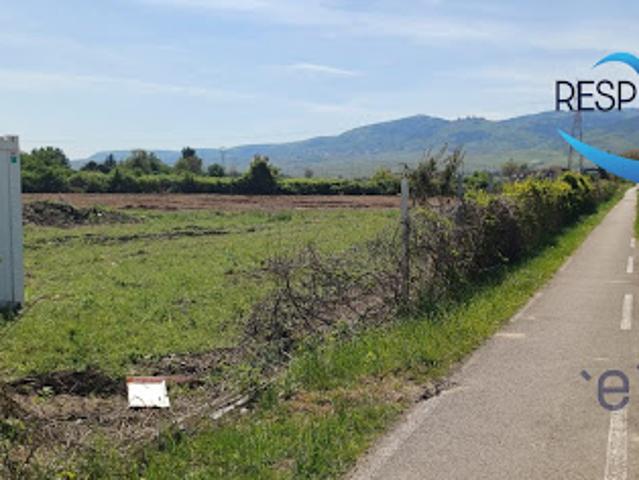 Terrain vente à Colmar-Ribeauvillé, Colmar