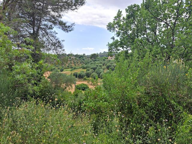 Terrain vente à Grasse