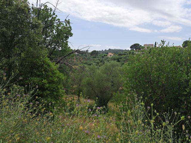 Terrain vente à Grasse