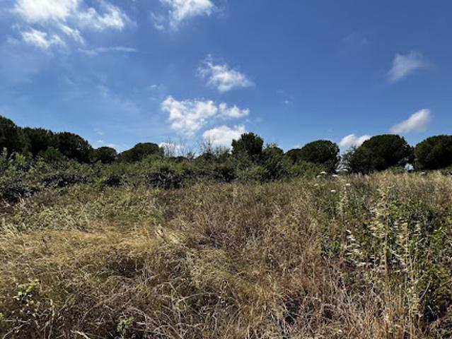Terrain vente à Montpellier, Marseillan