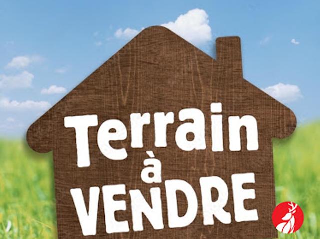 Terrain vente à Fontainebleau, Ury