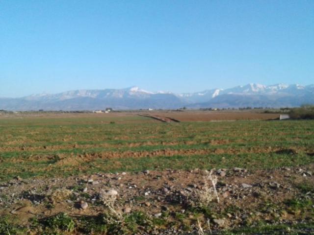 Terrain vente à Oulad Hassoun, L'Oriental