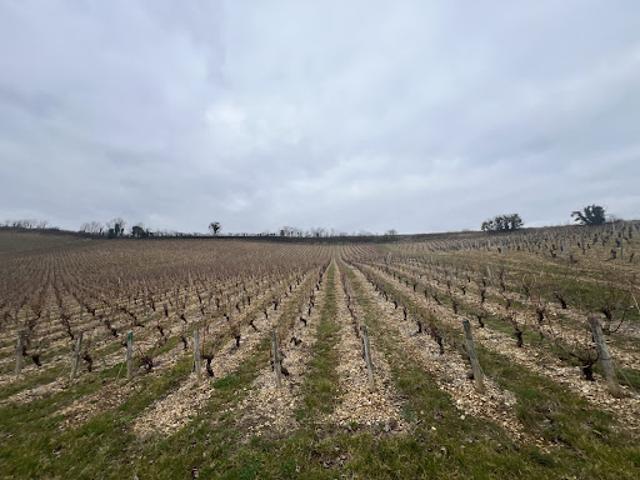 Terrain vente à Bourges, Crézancy-en-sancerre