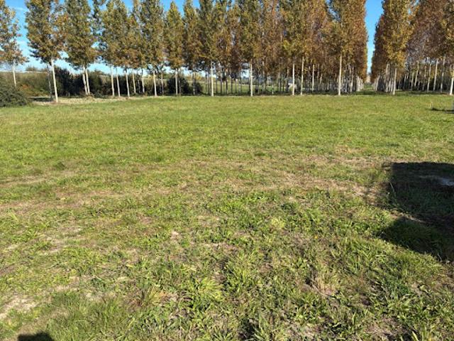 Terrain vente à France métropolitaine, Beaupuy