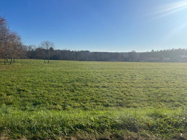 Terrain vente à France métropolitaine, Casteljaloux