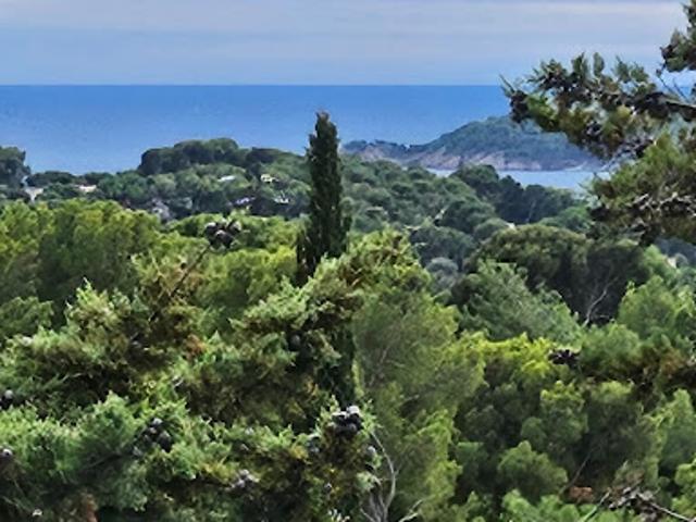Terrain vente à Ceyreste, Bouches-du-Rhône