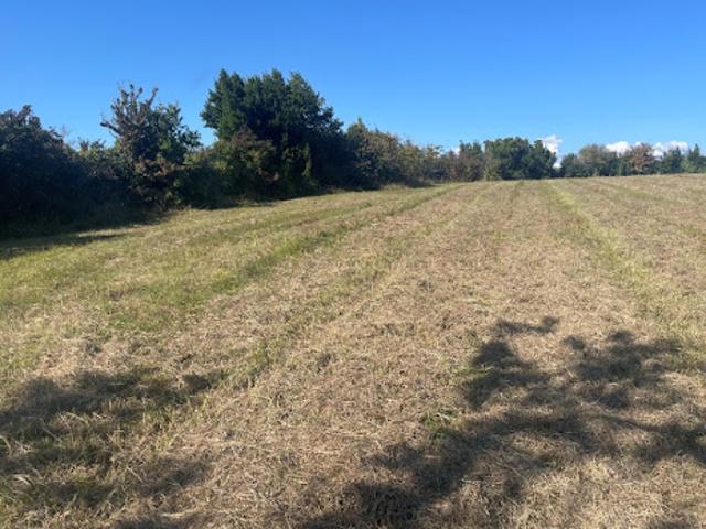 Terrain vente à Etauliers, Gironde