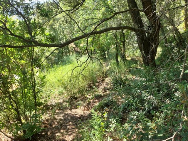 Terrain vente à Arrondissement de Draguignan, Flayosc