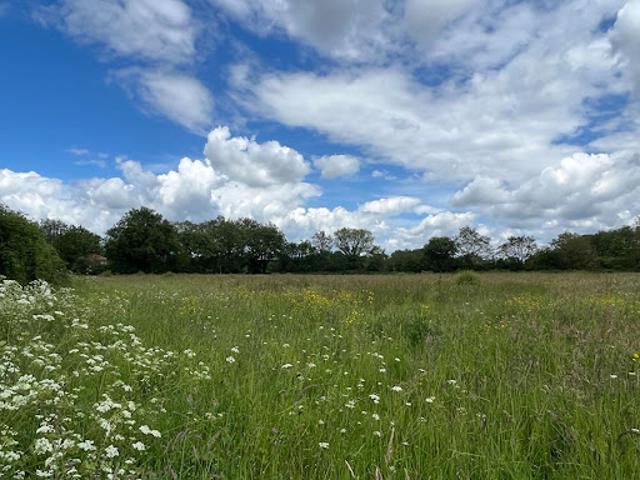 Terrain vente à France métropolitaine, Le Cellier