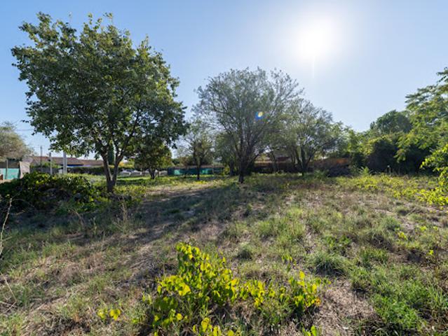 Terrain vente à Hameau des Peyrouas, Le Muy
