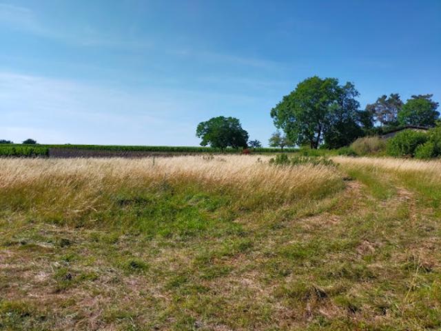 Terrain vente à France métropolitaine, Louzac-saint-andré