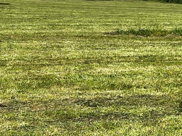 Terrain vente à France métropolitaine, Mesnac