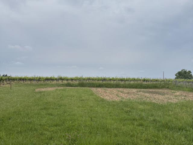 Terrain vente à Blaye, Pugnac