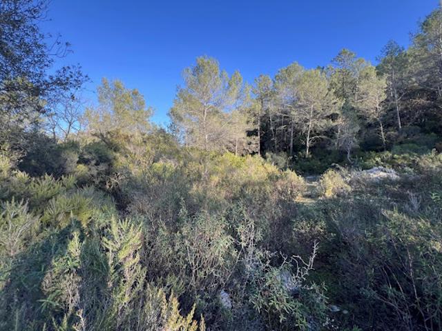 Terrain vente à Grasse, Roquefort-les-pins