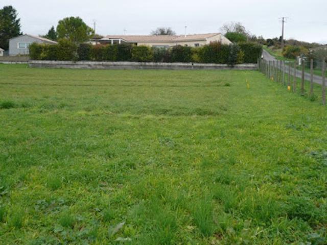 Terrain vente à Saint-Laurent-de-Cognac, Charente
