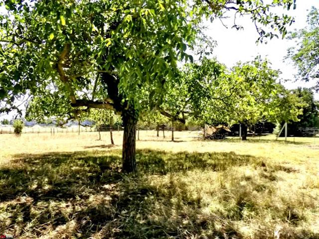 Terrain vente à Fontenay-le-Comte, Sainte-gemme-la-plaine