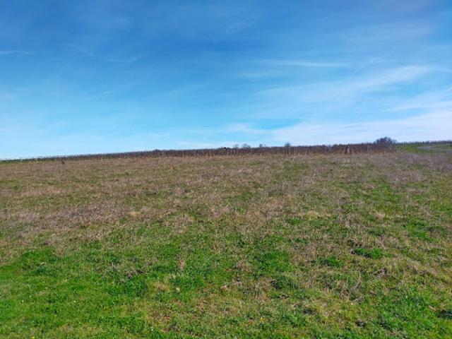 Terrain vente à Cognac, Salles-de-barbezieux
