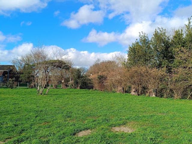 Terrain vente à Lesparre-Médoc, Talais
