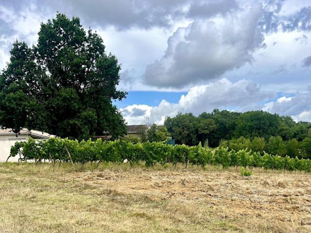 Terrain vente à Libourne, Villegouge