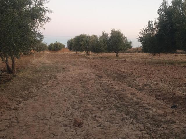 Terrain vente à Al Haouz, L'Oriental