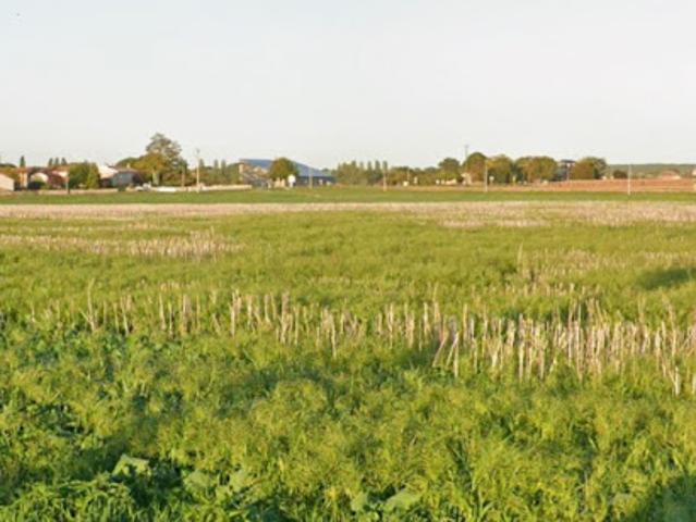 Terrain vente à Saint-Jean-d'Angély, Le Mung
