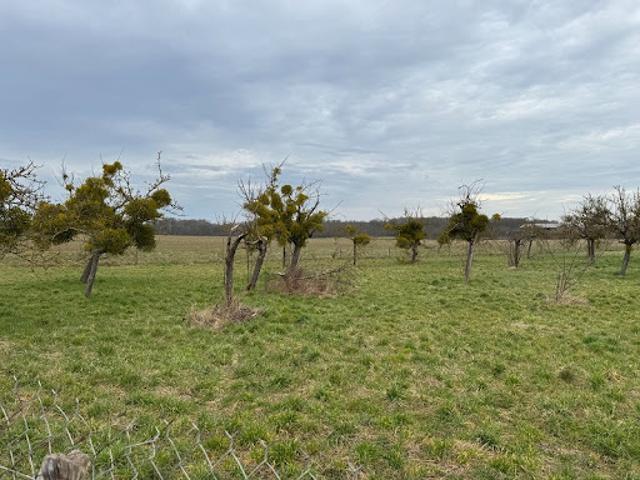 Terrain vente à Les Andelys, Vaux-sur-eure