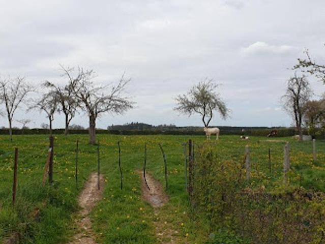 Terrain vente à Dieppe, Callengeville